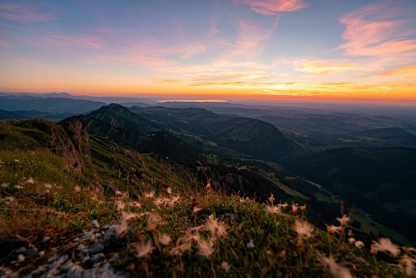Flowery sunset from the Hochgrat towards Lake Constance by Leo Schindzielorz