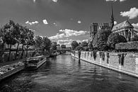 Bij Notre Dame de Paris van Vincent de Moor thumbnail