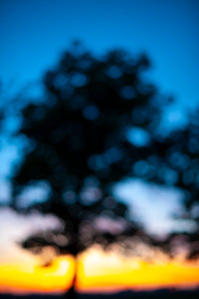 Twilight in North Holland by Johannes van Veen