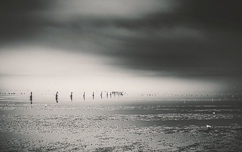 Strand van Cuxhaven aan de Duitse Noordzeekust.  Foto bij laag water met baken en golfbreker