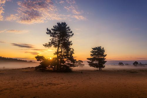 Ochtendlicht boven de Zandvlakte