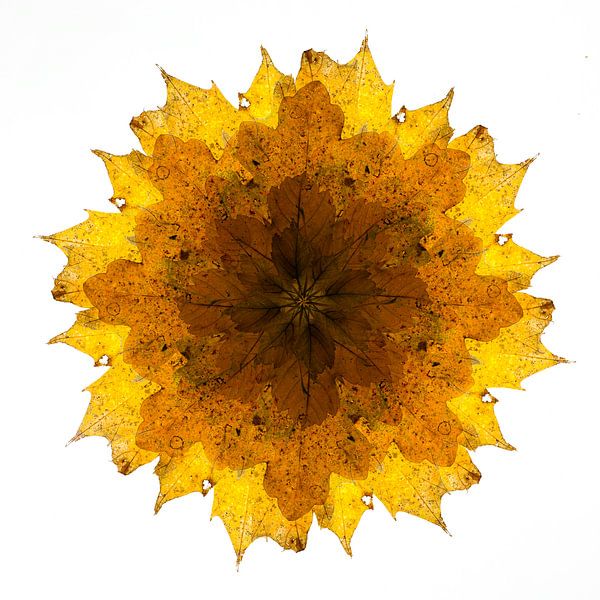 Kaleidoskop von Herbstblättern von Elbert-Jan Achterberg