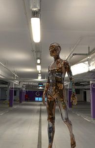 futur garage pour garçons