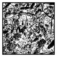 De zwart-wit natuur