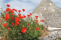 Trulli
