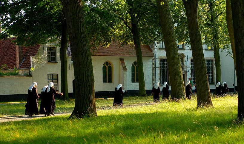 Béguines par Dennis Beentjes