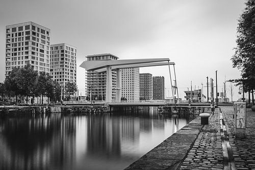 Pont de Londres sur l'Eilandje à Anvers | Noir et blanc