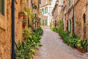 Rue avec des plantes en pot typiques à Valldemossa, Espagne Îles Baléares