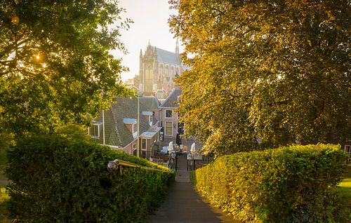 Discover Leiden