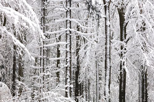 Winter in der Oberlausitz