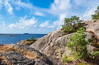 Landschaft auf der Halbinsel Helleviga in Norwegen von Rico Ködder Miniaturansicht
