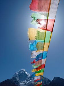 Boeddhistische gebedsvlaggen Himalaya van Menno Boermans