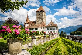 Spiez Castle on Lake Thun in the Swiss Alps von Patrick Kilb