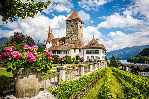 Le château de Spiez, au bord du lac de Thoune, dans les Alpes suisses