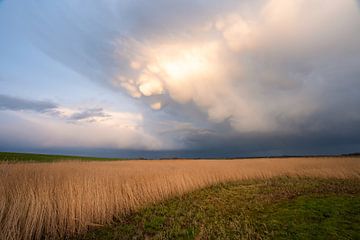 Mooie wolkenlucht in de Arkemheen polder van Margreet Riedstra