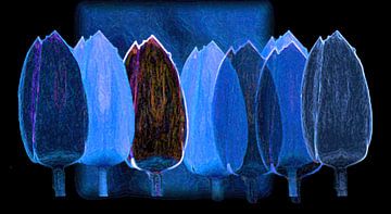 Blauwe tulpen van Artelier Gerdah