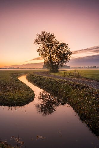 Kleurige zonsopkomst bij boom alone langs sloot