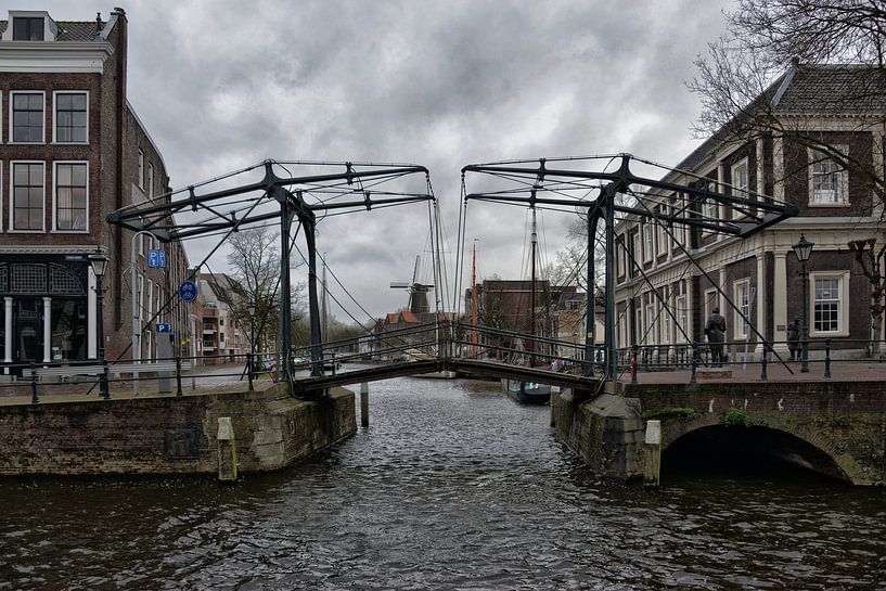 Schiedam. par Tilly Meijer