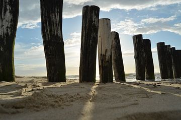 Le soleil entre la tête du pôle sur Oostkapelle Fotografie