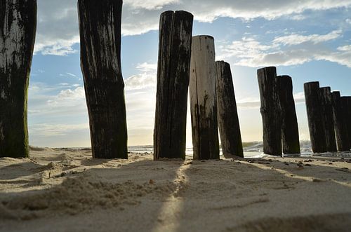 Sunshine between the pole head
