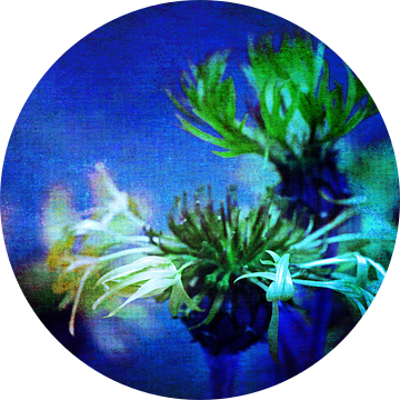 Kornblumen im blauen Licht van Roswitha Lorz