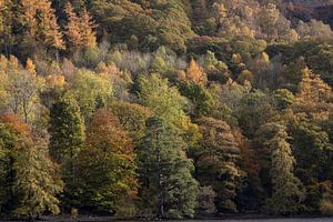 Herbstfarben in Borrowdale England