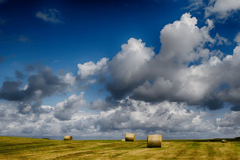 Des bottes de foin sous un ciel nuageux dramatique par Alexander Baumann