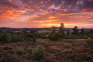 Fire in the Vulkan-Eifel