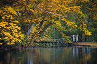 Pont suspendu au-dessus d'un étang dans le parc en automne par Arjan Almekinders Aperçu
