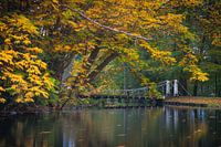 Hängebrücke über einen Teich im Park im Herbst