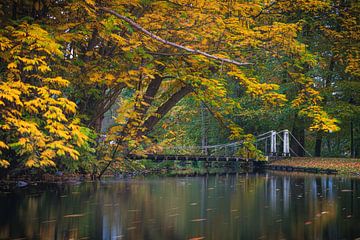 Suspension bridge over a pond in the park in autumn