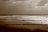 Golfbrekers op het strand