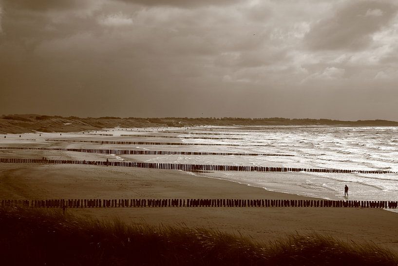 Rows of poles from the dunes into the sea by Wytze Plantenga