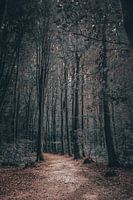 La forêt de l'humeur