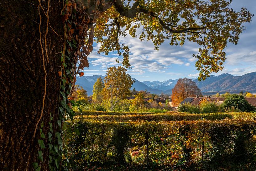Autumn landscape in Munrau with a view of the Alps by ManfredFotos