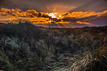 Dunes van peterheinspictures