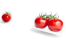 Strauchtomaten von Photo Dante