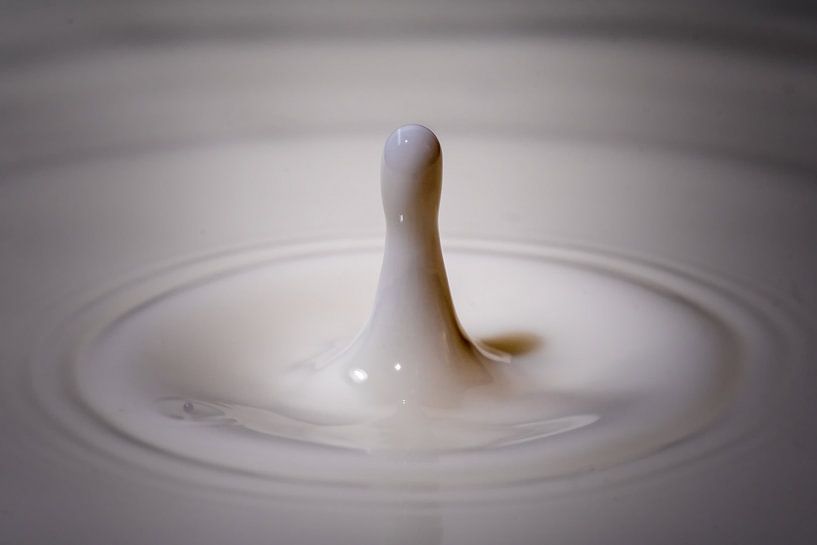 one drop only von Thomas Riess