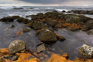 Lofoten sur Richard van der Hoek