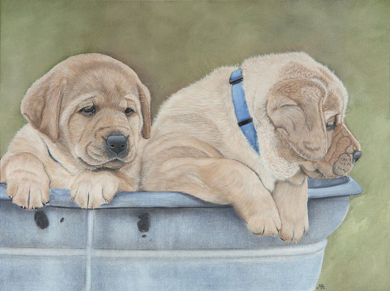 Chiots labrador jaune blond par Michelle Oude Avenhuis fine art