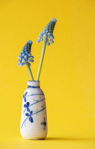 Klein chinees antiek vaasje met twee blauwe druifjes op gele achtergrond.