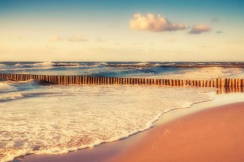 I dreamed of the sea by Daniela Beyer
