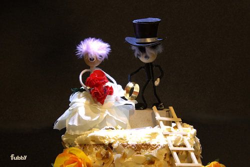 Fubby wedding cake on cake.