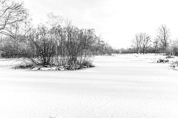 Twentse winter landschap in zwart/wit