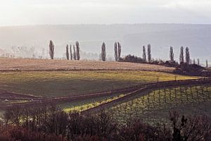 Kleine Toskana