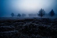 De Spooknacht