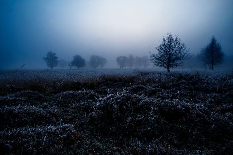 The Ghost Night by Danny Hummel
