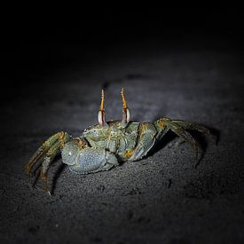 La nuit sur la plage sur Mathias Möller