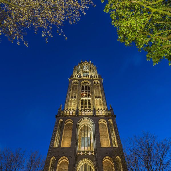 La tour du Dom Utrecht depuis le Domplein le soir - 6 par Tux Photography