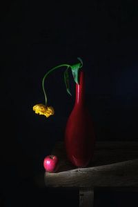 Also Niederländisch . Rote Vase mit gelber Tulpe